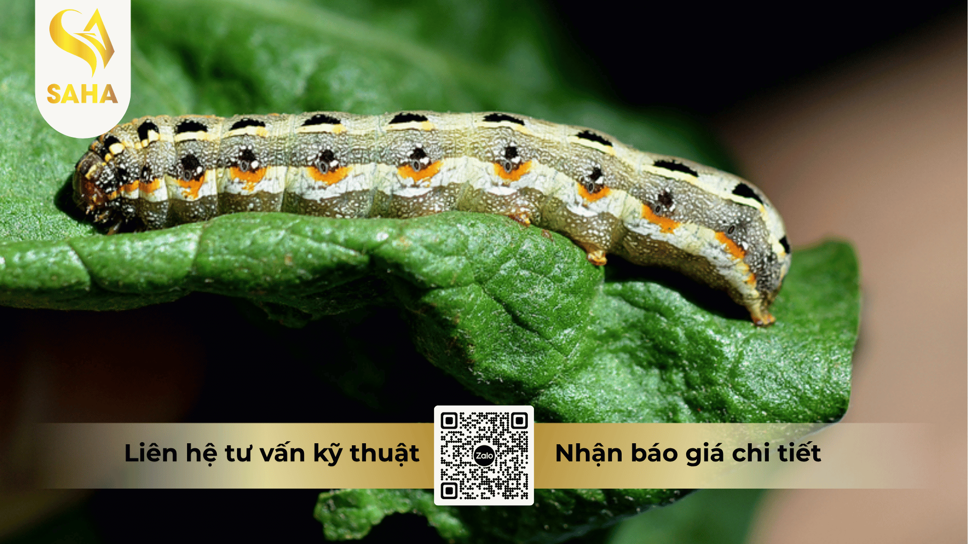 thong-tin-chung-thuoc-tru-sau-difeggo-42sc.png