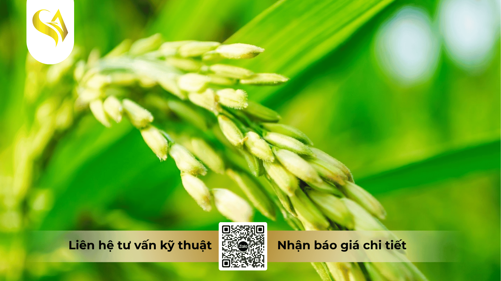 hoat-chat-va-co-che-kep-giup-captivan-400wp-dap-dich-than-toc.png