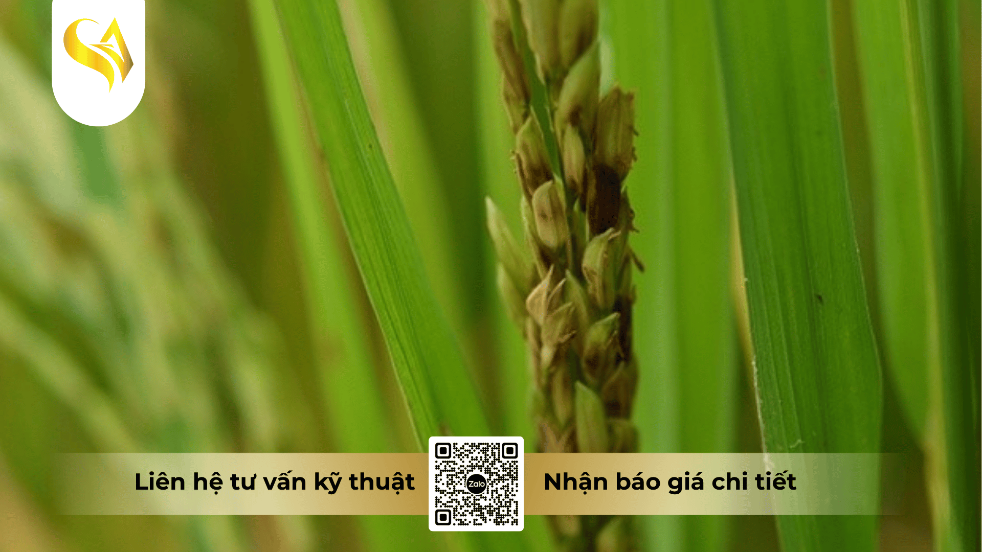 mua-captivan-400wp-o-dau-chinh-hang-uy-tin-tren-toan-quoc.png