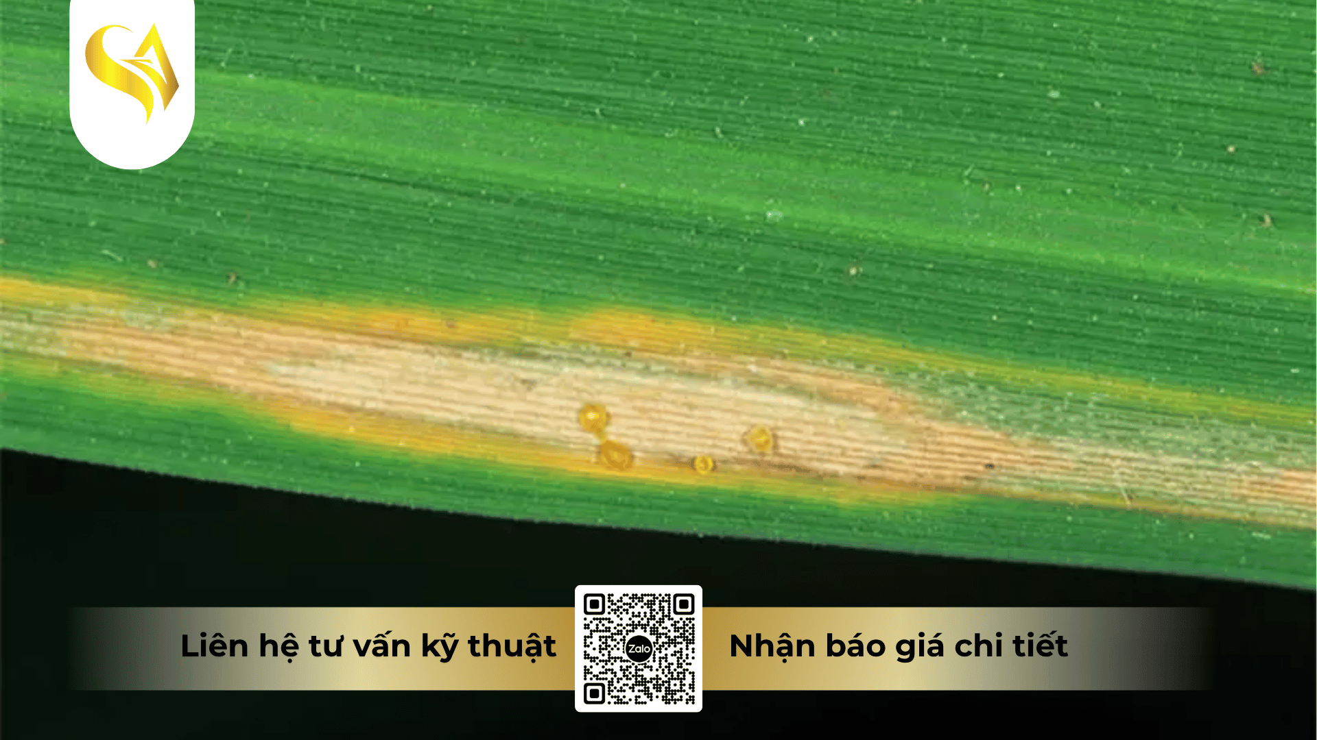 cac-cau-hoi-thuong-gap-khi-mua-va-gia-cong-captivan-400wp-faq.png