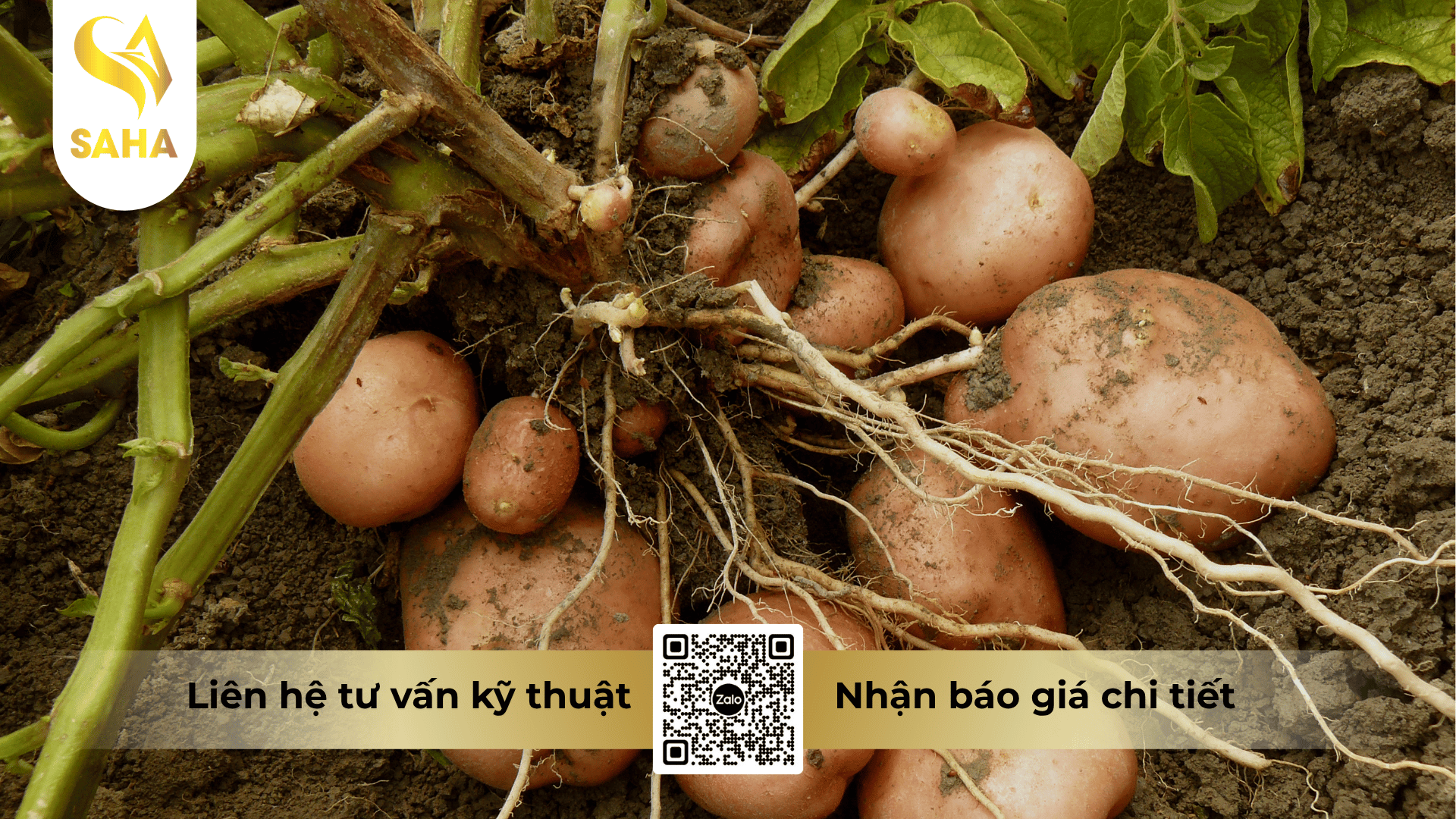 cong-dung-thuoc-tru-benh-dimethor-500sc.png