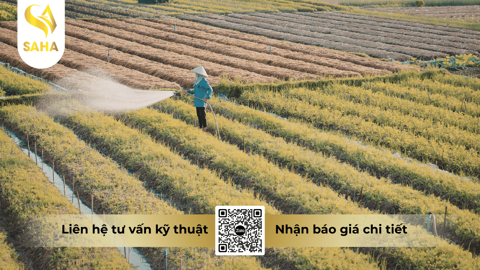 cau-hoi-thuong-gap.png