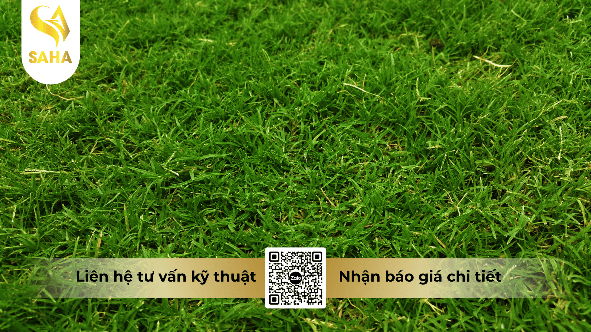 thong-tin-chung-thuoc-tru-co-diraquat-200sl.png
