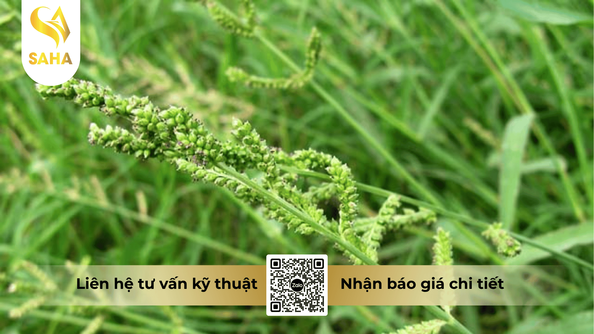 cong-dung-thuoc-tru-co-diraquat-200sl.png