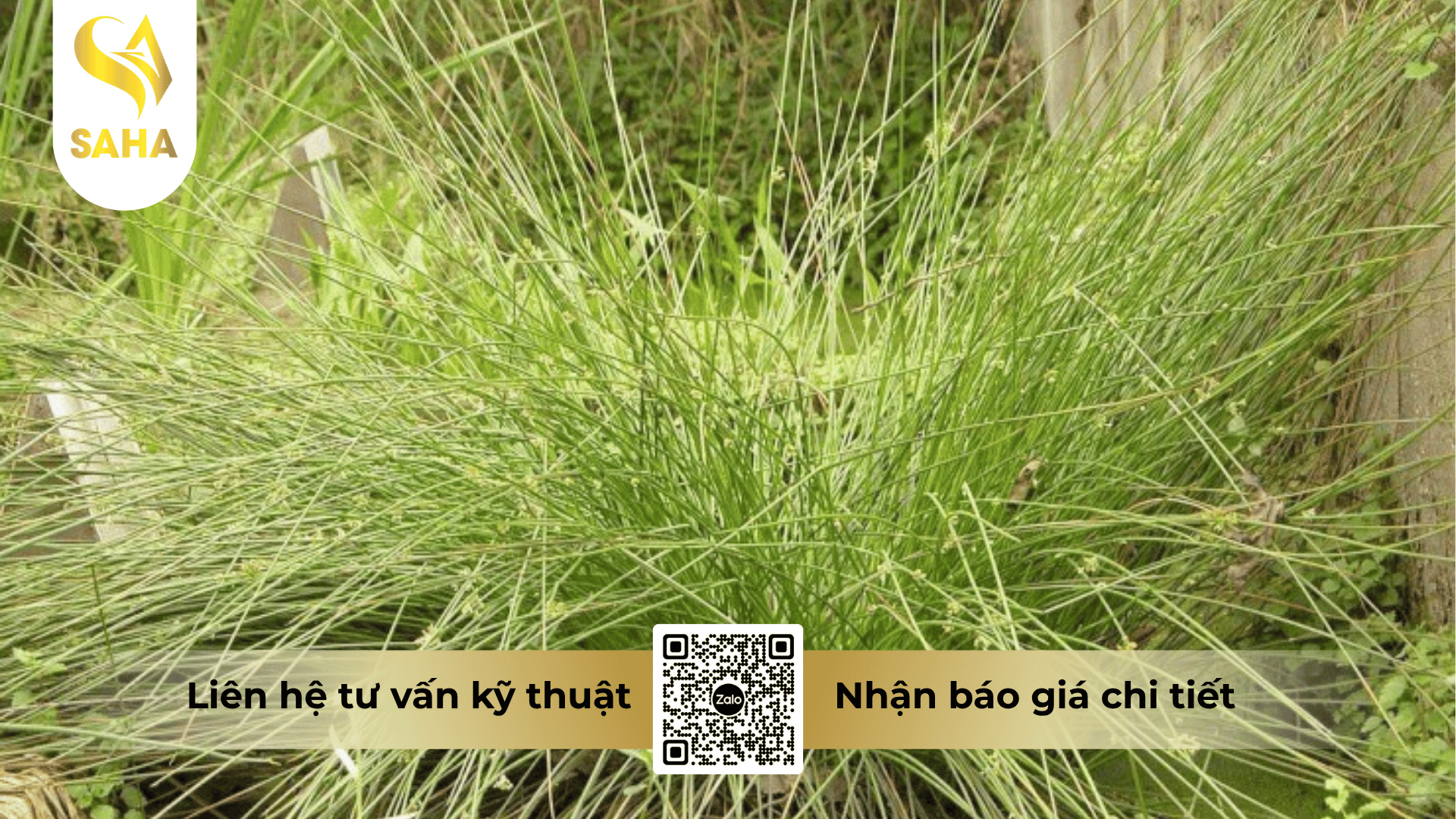 cong-dung-thuoc-tru-co-glufocide-200sl-hieu-clearup.png