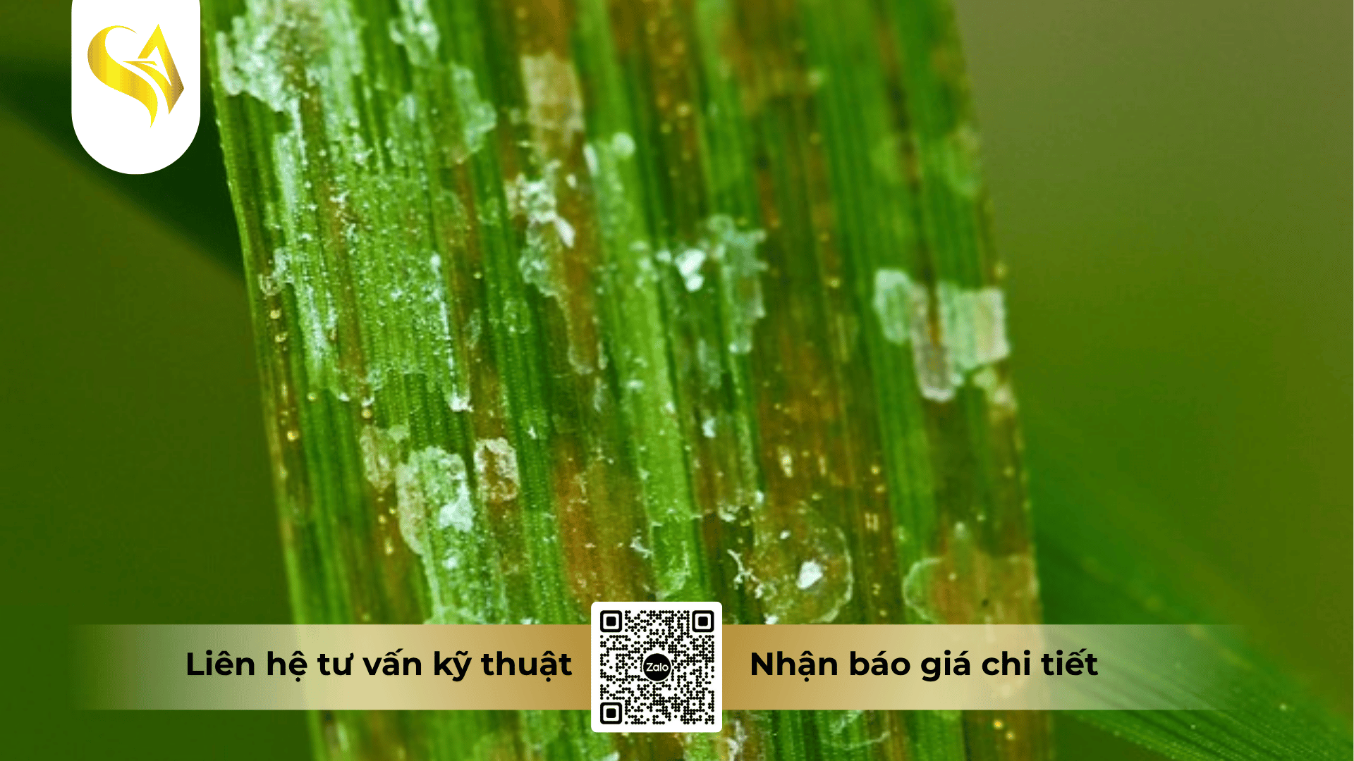 co-che-tac-dong-kep-dot-pha-bao-ve-mo-cay-trong.png
