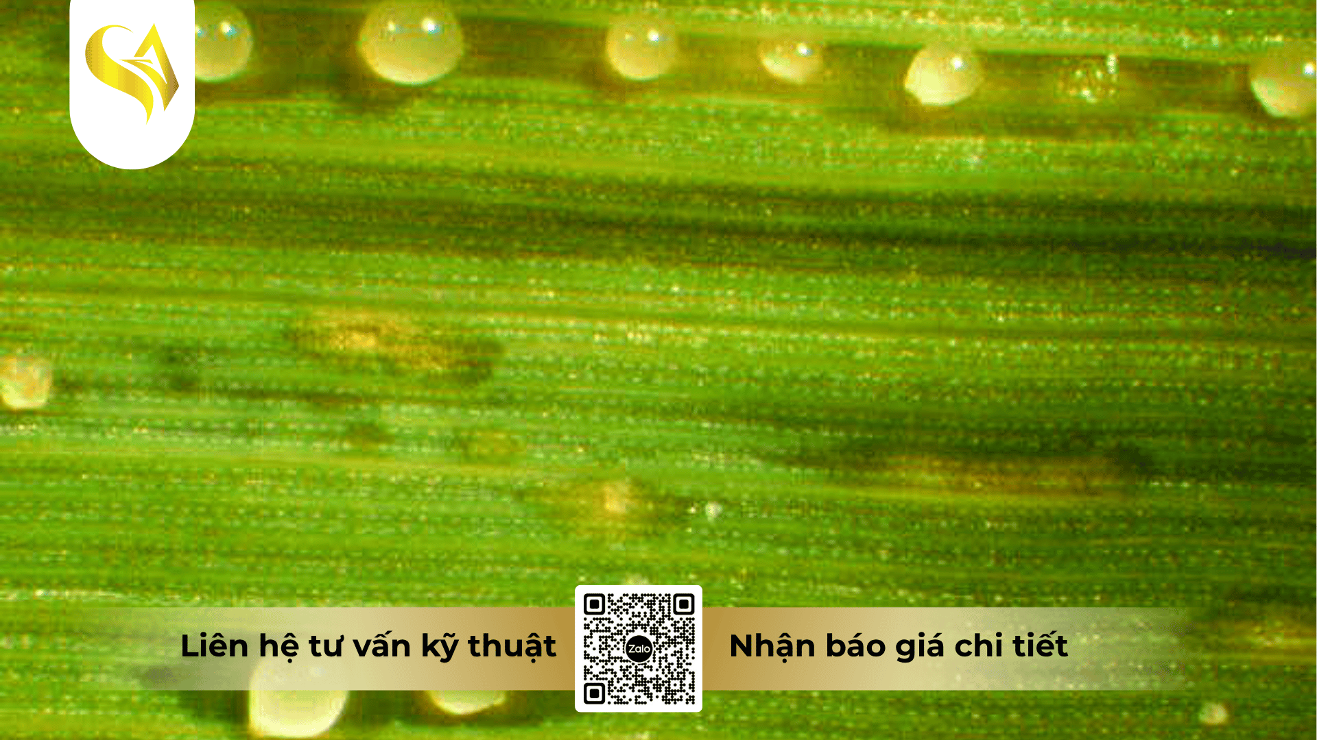 cac-cau-hoi-thuong-gap-ve-thuoc-tru-benh-captivan-400wp-faq.png