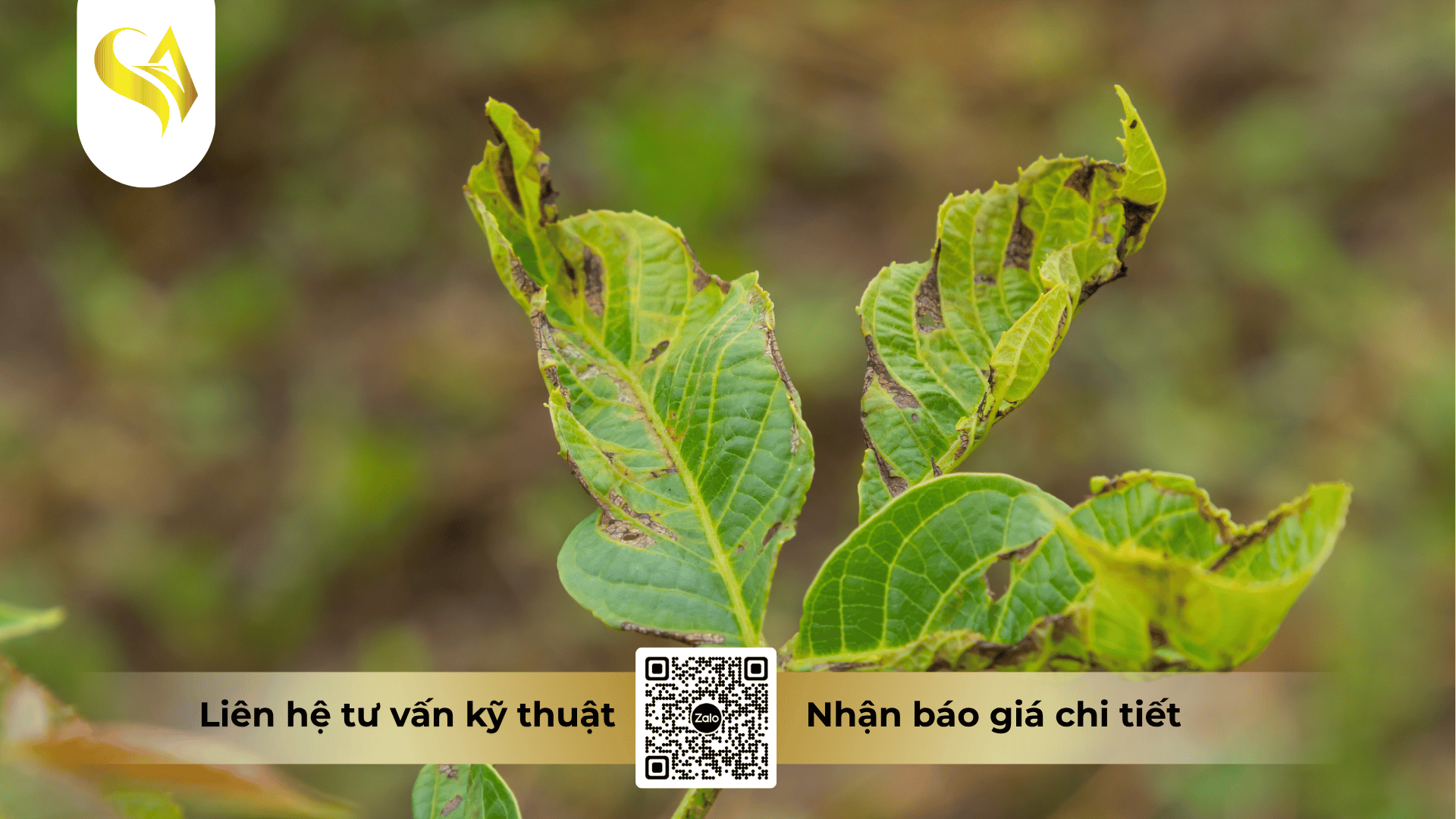 cac-cau-hoi-thuong-gap-khi-dung-captivan-400wp-tri-than-thu-faq.png