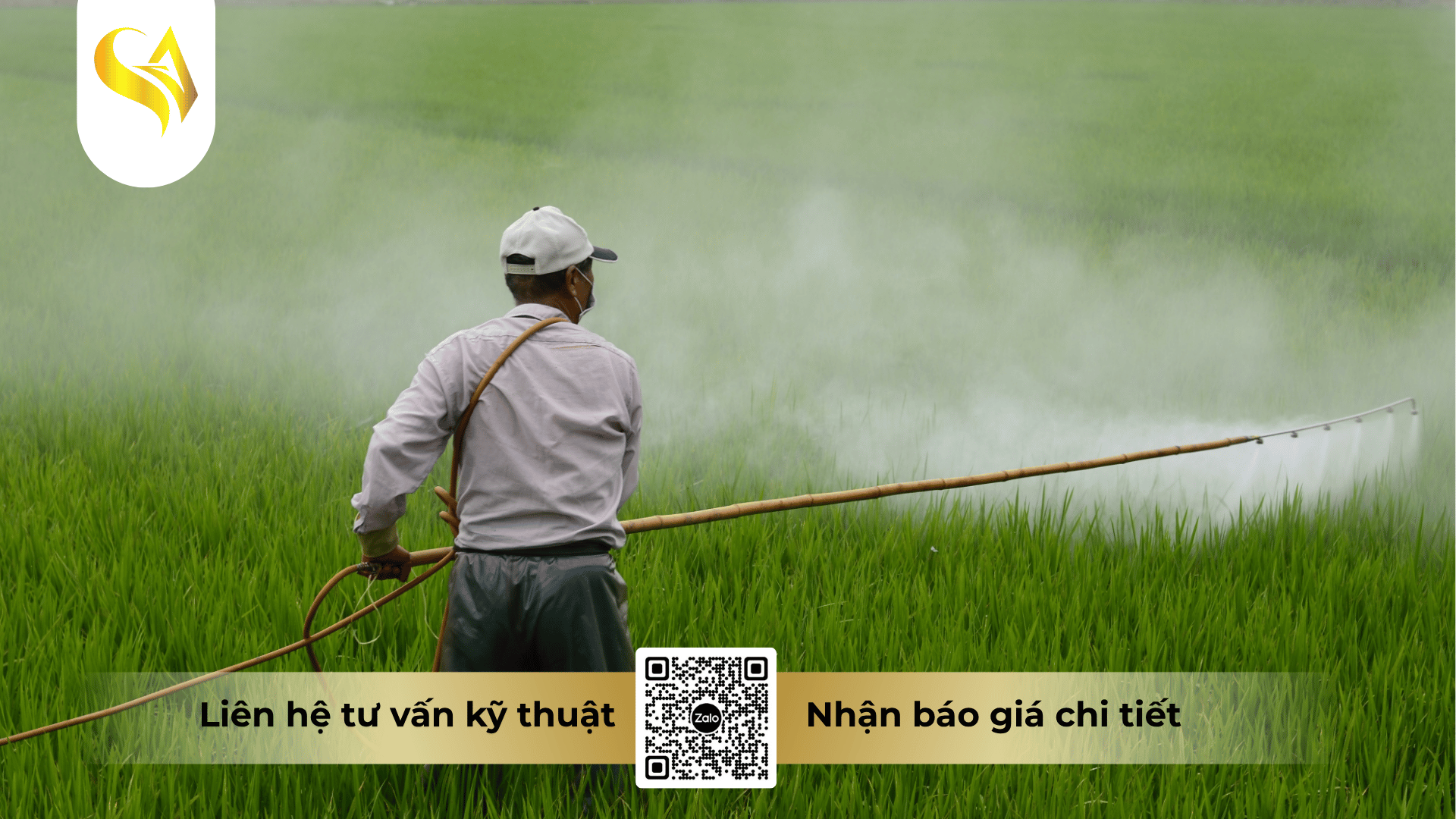 huong-dan-ky-thuat-su-dung-king-cide-460sc-dat-hieu-qua-cao-nhat.png