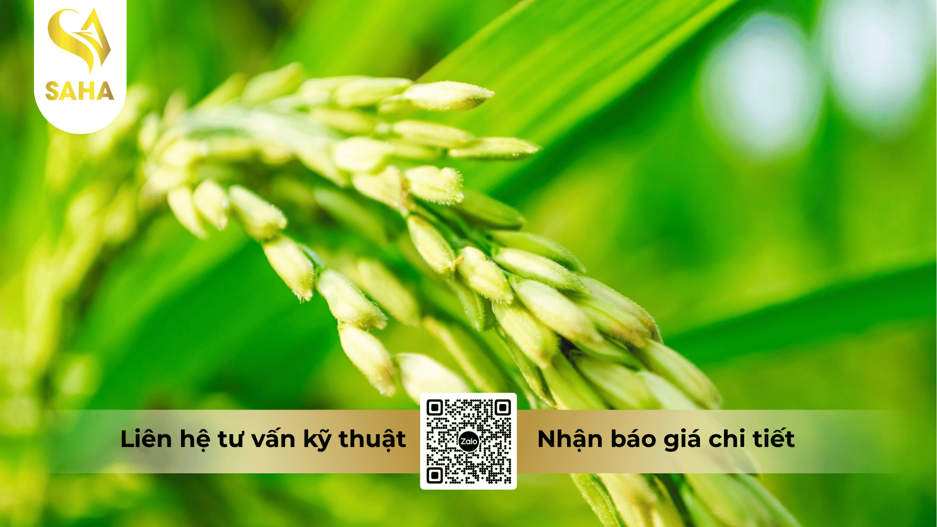 thong-tin-chung-thuoc-tru-benh-cyat-525wg.png