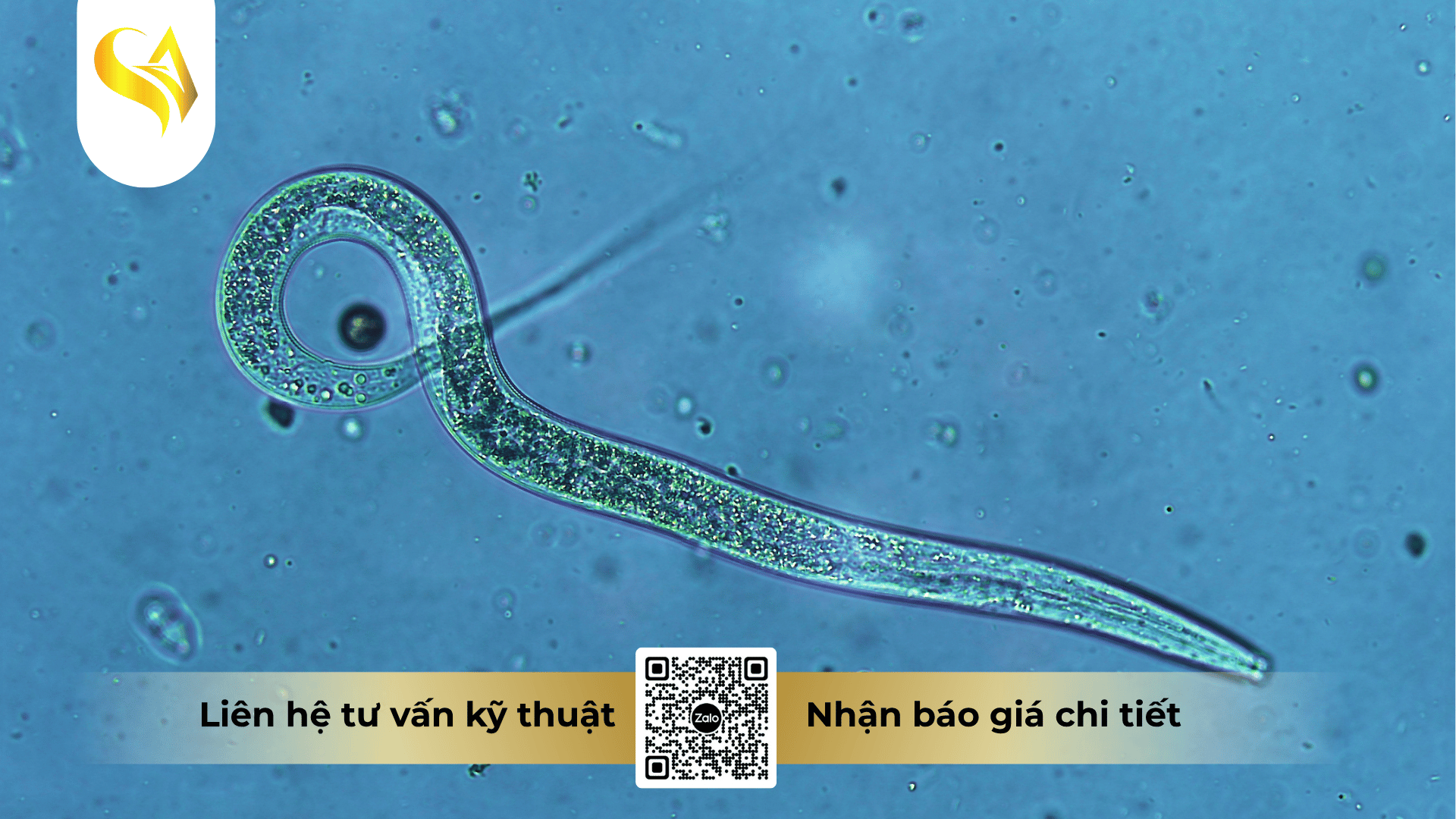 ap-luc-tu-cac-doi-tuong-dich-hai-an-nap-duoi-mat-dat-va-goc-cay.png