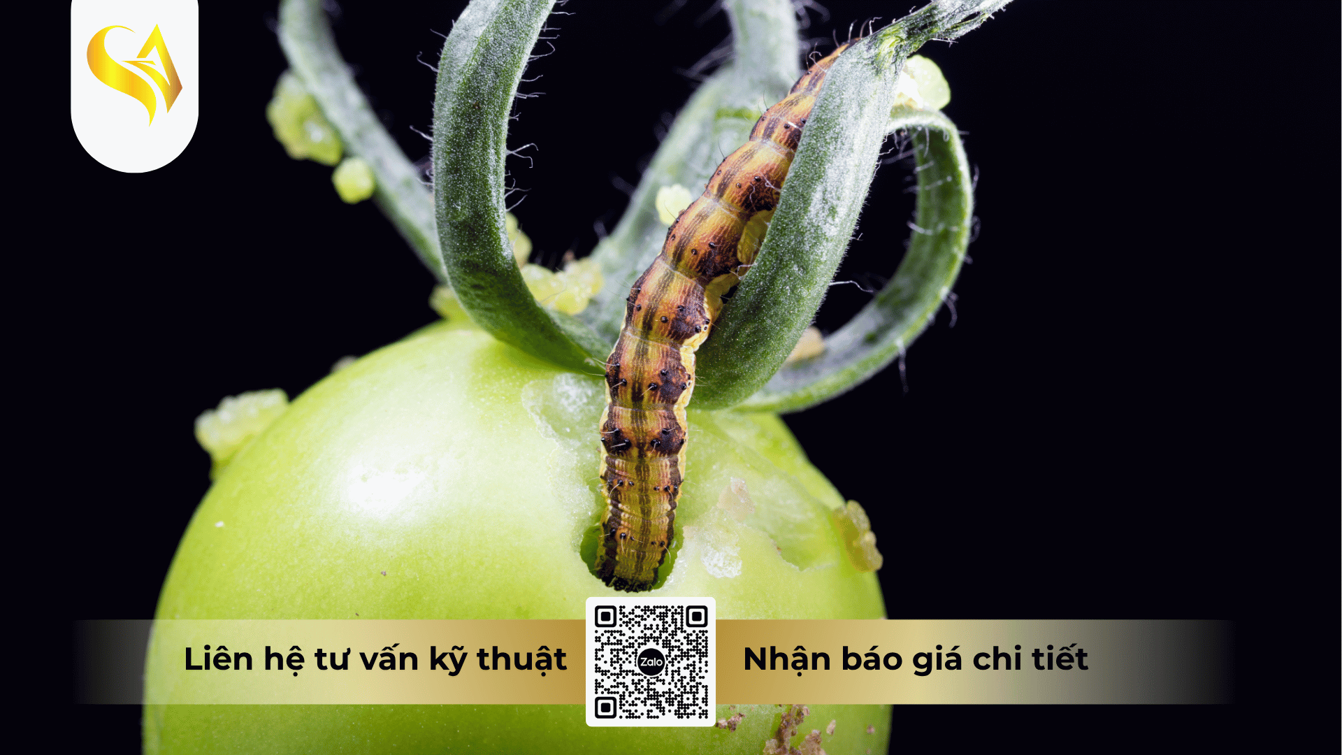 cau-hoi-thuong-gap.png