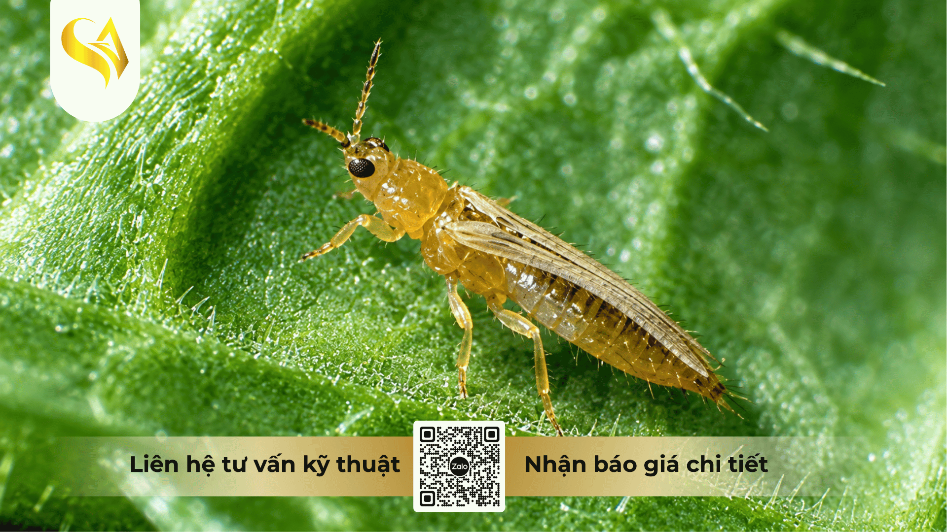 nguon-goc-va-tam-quan-trong-cua-he-thong-phan-loai-irac-quoc-te.png
